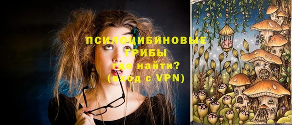 молекула духа Кинешма