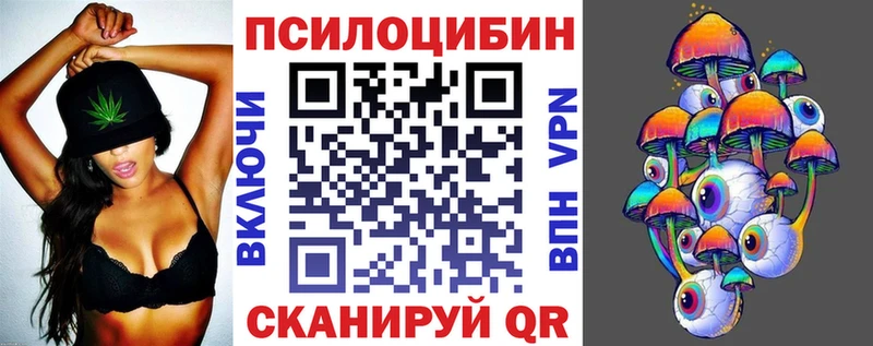 Купить Ельня Галлюциногенные грибы MAGIC MUSHROOMS
